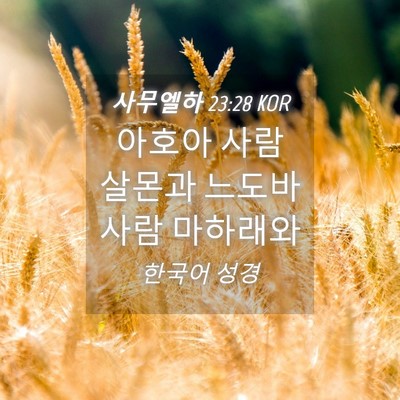 Picture 04 - 사무엘하 23:28 KOR - 아호아 사람 살몬과 느도바 사람 - Bible Verse Picture