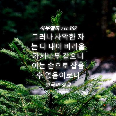 Picture 04 - 사무엘하 23:6 KOR - 그러나 사악한 자는 다 내어 버리울 - Bible Verse Picture