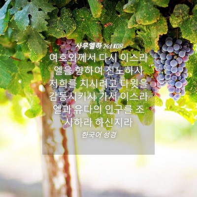 Picture 04 - 사무엘하 24:1 KOR - 여호와께서 다시 이스라엘을 향하여 - Bible Verse Picture