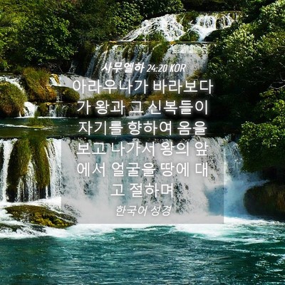 Picture 04 - 사무엘하 24:20 KOR - 아라우나가 바라보다가 왕과 그 - Bible Verse Picture