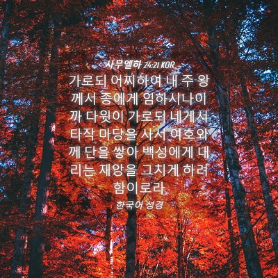Picture 04 - 사무엘하 24:21 KOR - 가로되 어찌하여 내 주 왕께서 - Bible Verse Picture