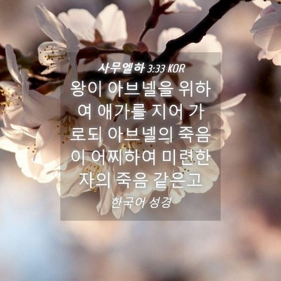 Picture 04 - 사무엘하 3:33 KOR - 왕이 아브넬을 위하여 애가를 지어 - Bible Verse Picture