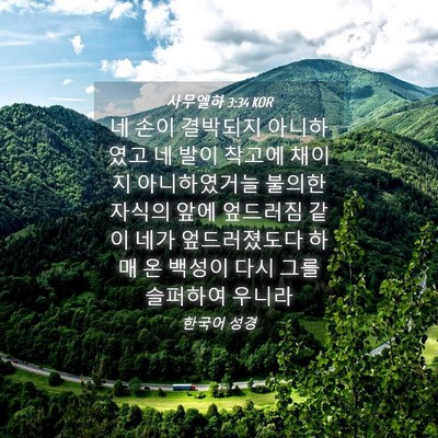 Picture 04 - 사무엘하 3:34 KOR - 네 손이 결박되지 아니하였고 네 - Bible Verse Picture