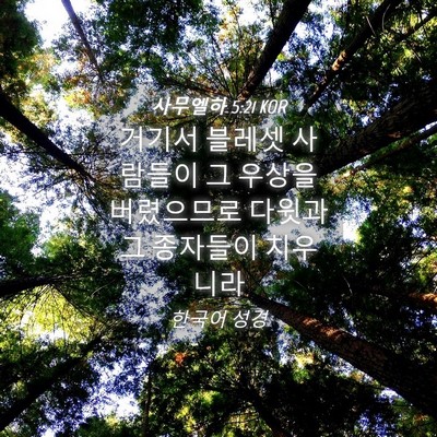 Picture 04 - 사무엘하 5:21 KOR - 거기서 블레셋 사람들이 그 우상을 - Bible Verse Picture