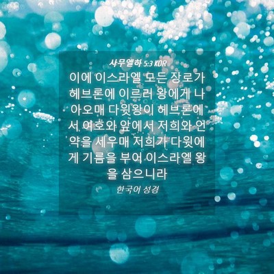 Picture 04 - 사무엘하 5:3 KOR - 이에 이스라엘 모든 장로가 헤브론에 - Bible Verse Picture