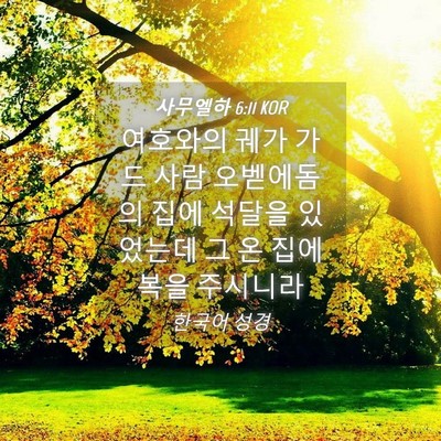 Picture 04 - 사무엘하 6:11 KOR - 여호와의 궤가 가드 사람 오벧에돔의 - Bible Verse Picture