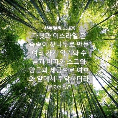 Picture 04 - 사무엘하 6:5 KOR - 다윗과 이스라엘 온 족속이 잣나무로 - Bible Verse Picture