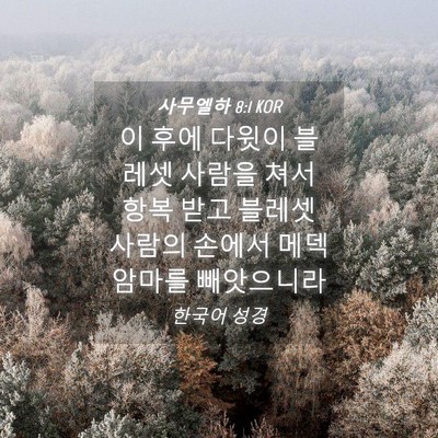 Picture 04 - 사무엘하 8:1 KOR - 이 후에 다윗이 블레셋 사람을 쳐서 - Bible Verse Picture