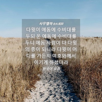 Picture 04 - 사무엘하 8:14 KOR - 다윗이 에돔에 수비대를 두되 온 - Bible Verse Picture