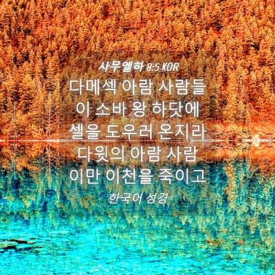 Picture 04 - 사무엘하 8:5 KOR - 다메섹 아람 사람들이 소바 왕 - Bible Verse Picture