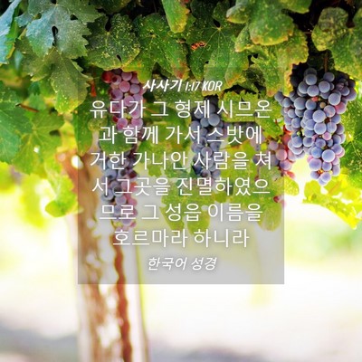 Picture 04 - 사사기 1:17 KOR - 유다가 그 형제 시므온과 함께 가서 - Bible Verse Picture