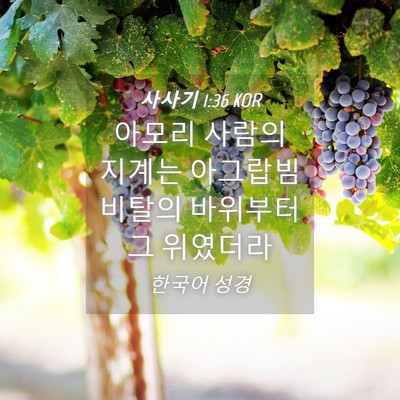 Picture 04 - 사사기 1:36 KOR - 아모리 사람의 지계는 아그랍빔 - Bible Verse Picture
