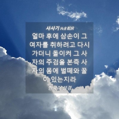Picture 04 - 사사기 14:8 KOR - 얼마 후에 삼손이 그 여자를 - Bible Verse Picture