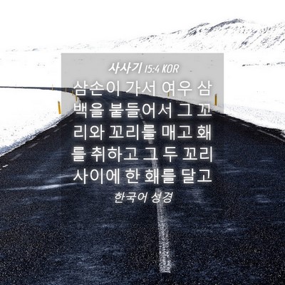 Picture 04 - 사사기 15:4 KOR - 삼손이 가서 여우 삼백을 붙들어서 - Bible Verse Picture