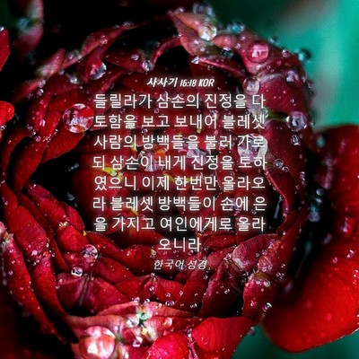 Picture 04 - 사사기 16:18 KOR - 들릴라가 삼손의 진정을 다 토함을 - Bible Verse Picture