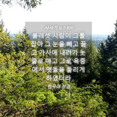 Picture 04 - 사사기 16:21 KOR - 블레셋 사람이 그를 잡아 그 눈을 - Bible Verse Picture