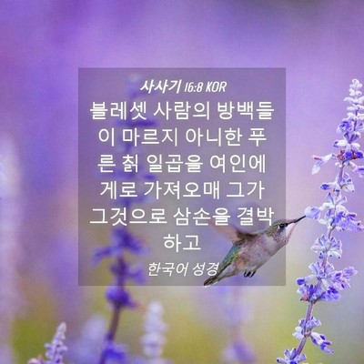 Picture 04 - 사사기 16:8 KOR - 블레셋 사람의 방백들이 마르지 - Bible Verse Picture