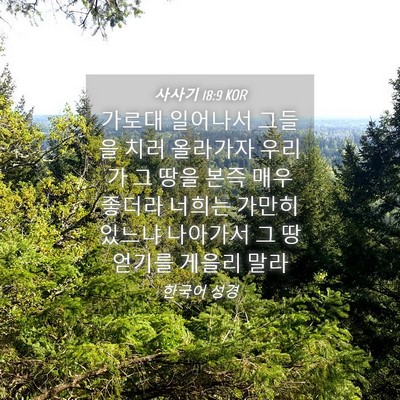 Picture 04 - 사사기 18:9 KOR - 가로대 일어나서 그들을 치러 - Bible Verse Picture
