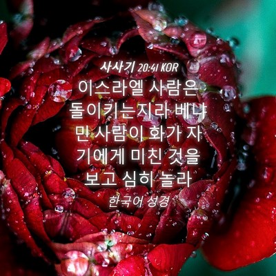Picture 04 - 사사기 20:41 KOR - 이스라엘 사람은 돌이키는지라 - Bible Verse Picture