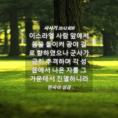 Picture 04 - 사사기 20:42 KOR - 이스라엘 사람 앞에서 몸을 돌이켜 - Bible Verse Picture