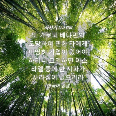 Picture 04 - 사사기 21:17 KOR - 또 가로되 베냐민의 도망하여 면한 - Bible Verse Picture
