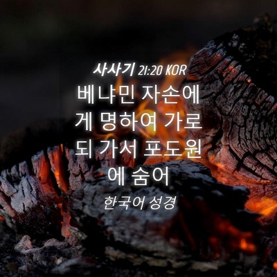 Picture 04 - 사사기 21:20 KOR - 베냐민 자손에게 명하여 가로되 가서 - Bible Verse Picture