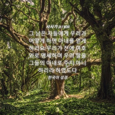 Picture 04 - 사사기 21:7 KOR - 그 남은 자들에게 우리가 어떻게 - Bible Verse Picture