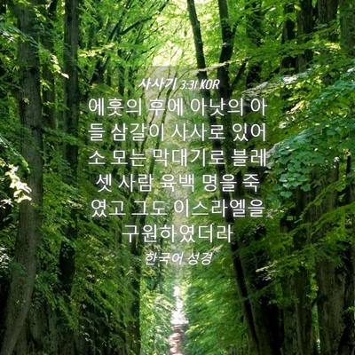 Picture 04 - 사사기 3:31 KOR - 에훗의 후에 아낫의 아들 삼갈이 - Bible Verse Picture
