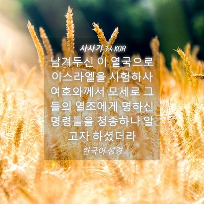 Picture 04 - 사사기 3:4 KOR - 남겨두신 이 열국으로 이스라엘을 - Bible Verse Picture