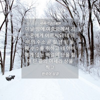 Picture 04 - 사사기 6:25 KOR - 이날 밤에 여호와께서 기드온에게 - Bible Verse Picture