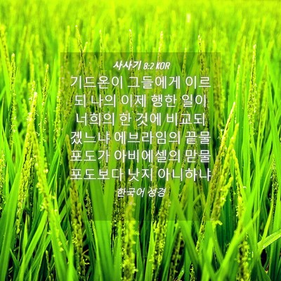 Picture 04 - 사사기 8:2 KOR - 기드온이 그들에게 이르되 나의 이제 - Bible Verse Picture