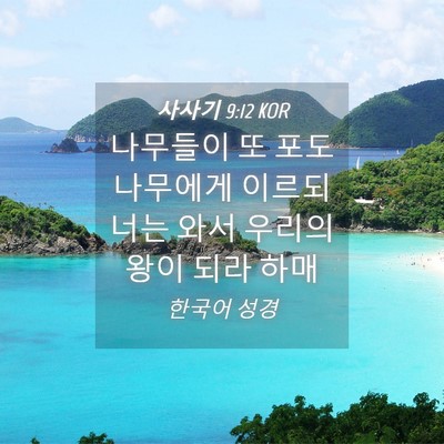Picture 04 - 사사기 9:12 KOR - 나무들이 또 포도나무에게 이르되 - Bible Verse Picture