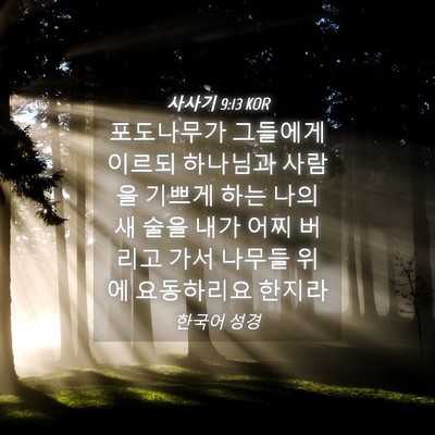 Picture 04 - 사사기 9:13 KOR - 포도나무가 그들에게 이르되 - Bible Verse Picture