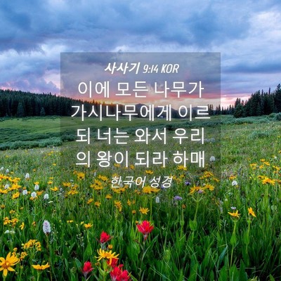 Picture 04 - 사사기 9:14 KOR - 이에 모든 나무가 가시나무에게 - Bible Verse Picture