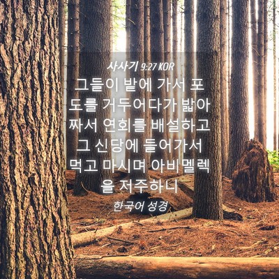 Picture 04 - 사사기 9:27 KOR - 그들이 밭에 가서 포도를 거두어다가 - Bible Verse Picture