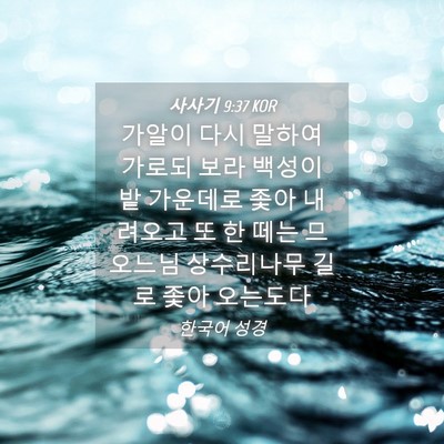Picture 04 - 사사기 9:37 KOR - 가알이 다시 말하여 가로되 보라 - Bible Verse Picture