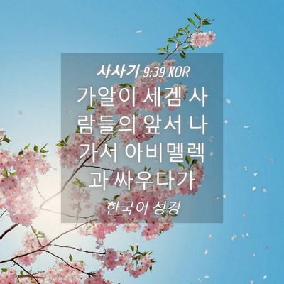 Picture 04 - 사사기 9:39 KOR - 가알이 세겜 사람들의 앞서 나가서 - Bible Verse Picture