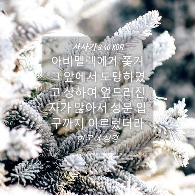 Picture 04 - 사사기 9:40 KOR - 아비멜렉에게 쫓겨 그 앞에서 - Bible Verse Picture