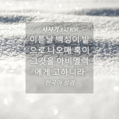Picture 04 - 사사기 9:42 KOR - 이튿날 백성이 밭으로 나오매 혹이 - Bible Verse Picture