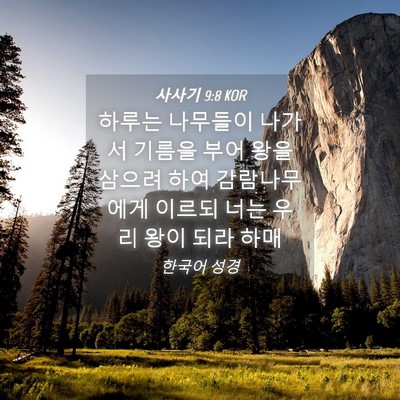 Picture 04 - 사사기 9:8 KOR - 하루는 나무들이 나가서 기름을 부어 - Bible Verse Picture