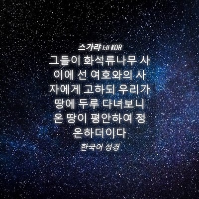 Picture 04 - 스가랴 1:11 KOR - 그들이 화석류나무 사이에 선 - Bible Verse Picture