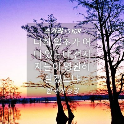 Picture 04 - 스가랴 1:5 KOR - 너희 열조가 어디 있느냐 선지자들이 - Bible Verse Picture