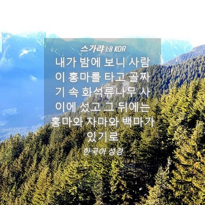 Picture 04 - 스가랴 1:8 KOR - 내가 밤에 보니 사람이 홍마를 타고 - Bible Verse Picture