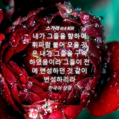 Picture 04 - 스가랴 10:8 KOR - 내가 그들을 향하여 휘파람 불어 - Bible Verse Picture