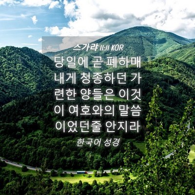 Picture 04 - 스가랴 11:11 KOR - 당일에 곧 폐하매 내게 청종하던 - Bible Verse Picture