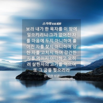 Picture 04 - 스가랴 11:16 KOR - 보라 내가 한 목자를 이 땅에 - Bible Verse Picture