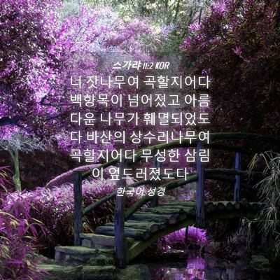 Picture 04 - 스가랴 11:2 KOR - 너 잣나무여 곡할지어다 백향목이 - Bible Verse Picture