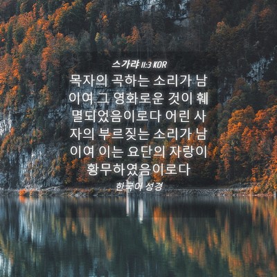 Picture 04 - 스가랴 11:3 KOR - 목자의 곡하는 소리가 남이여 그 - Bible Verse Picture