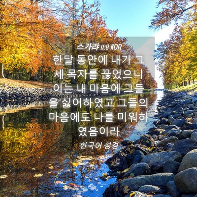 Picture 04 - 스가랴 11:8 KOR - 한달 동안에 내가 그 세 목자를 - Bible Verse Picture