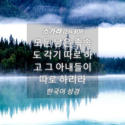 Picture 04 - 스가랴 12:14 KOR - 모든 남은 족속도 각기 따로 하고 그 - Bible Verse Picture